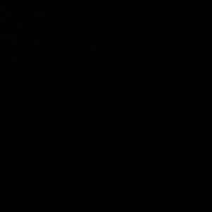 Meet your Posher, Carmen